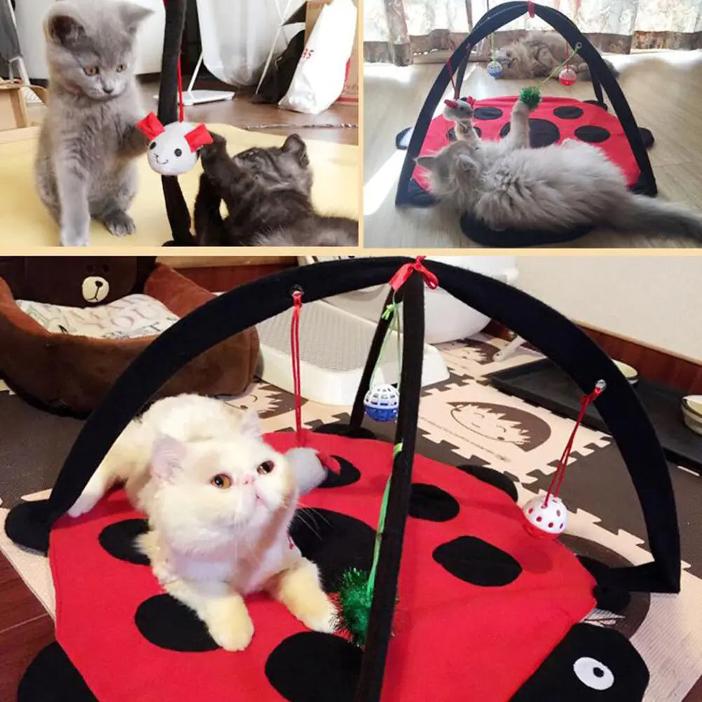Cat's Comfort Playzone