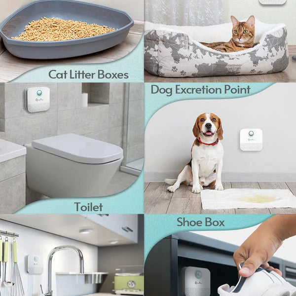 CleanBreeze Litter Purifier